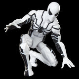 Marvel Legends Series Future Foundation Mister Fantastic & Spider-Man 2-Pack