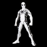 Marvel Legends Series Future Foundation Mister Fantastic & Spider-Man 2-Pack
