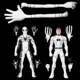 Marvel Legends Series Future Foundation Mister Fantastic & Spider-Man 2-Pack