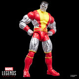 Marvel Legends Series Astonishing X-Men Kitty Pryde & Colossus 2-Pack