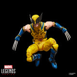 Marvel Legends Deadpool & Wolverine Battle Damaged Wolverine