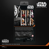 Star Wars The Black Series Queen Amidala