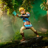 The Legend Of Zelda: Heroes Of Hyrule Link