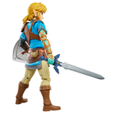 The Legend Of Zelda: Heroes Of Hyrule Link
