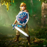The Legend Of Zelda: Heroes Of Hyrule Link