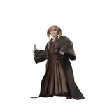 Star Wars The Black Series Saesee Tiin (Attack of the Clones)