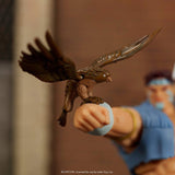 Street Fighter II T. Hawk