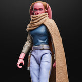 Star Wars The Black Series Devon Izara