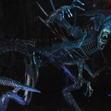 NECA Aliens Ultra Deluxe 40th Anniversary Alien Queen