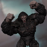 Loose Collector The Crypt The Skookum