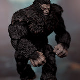 Loose Collector The Crypt The Skookum