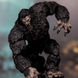 Loose Collector The Crypt The Skookum