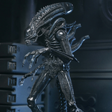 NECA Aliens 40th Anniversary Ultimate Warrior Xenomorph