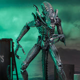 NECA Ultimate Aliens Warrior (Blue)