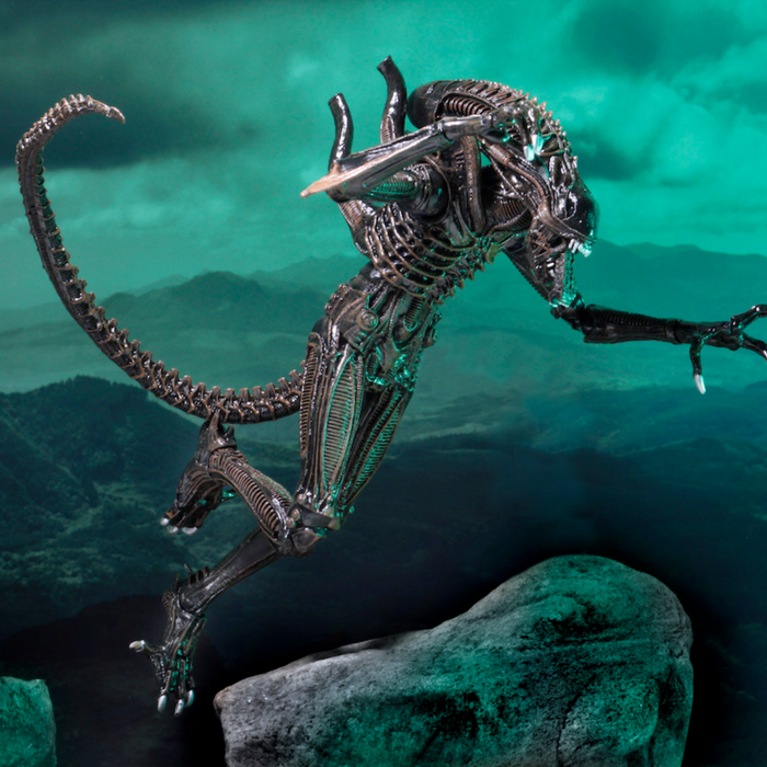 Neca best sale xenomorph warrior