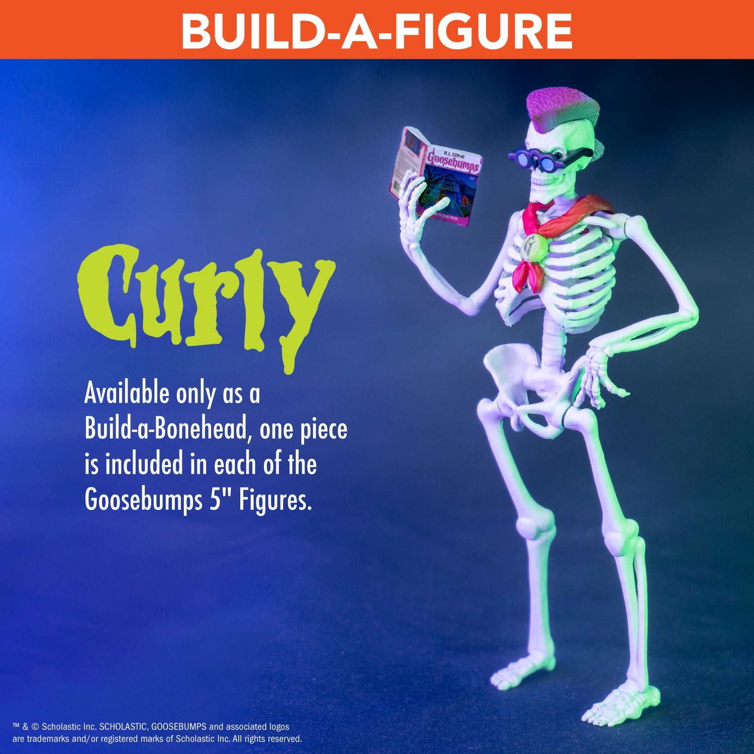 Goosebumps Ruler Goosebumps COMPLETE SET OF 5 with Curly Build-A-Figure (5