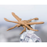 S.H.MonsterArts Godzilla vs. Megaguirus Megaguirus