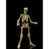Boss Fight Studios Epic H.A.C.K.S. Skeleton Blank (Classic Bone)