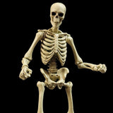 Boss Fight Studios Epic H.A.C.K.S. Skeleton Blank (Classic Bone)