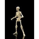 Boss Fight Studios Epic H.A.C.K.S. Skeleton Blank (Classic Bone)