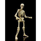 Boss Fight Studios Epic H.A.C.K.S. Skeleton Blank (Classic Bone)