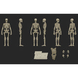 Boss Fight Studios Epic H.A.C.K.S. Skeleton Blank (Classic Bone)