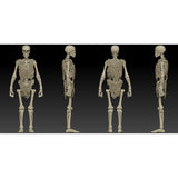 Boss Fight Studios Epic H.A.C.K.S. Skeleton Blank (Classic Bone)