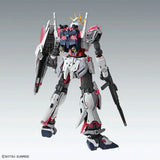 Mobile Suit Gundam MG 1/100 Narrative Gundam C-Packs Ver.KA