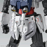 Mobile Suit Gundam MG 1/100 Narrative Gundam C-Packs Ver.KA