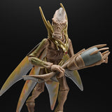 Star Wars Black Series Genosian Warrior (Attack of the Clones)