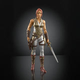 Masters of the Universe Chronicles Teela (2026 Movie)