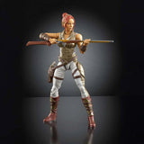 Masters of the Universe Chronicles Teela (2026 Movie)