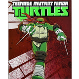 NECA Teenage Mutant Ninja Turtles Ultimate Raphael (2012 Cartoon)