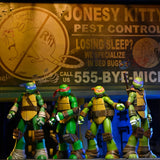 NECA Teenage Mutant Ninja Turtles 2012 Cartoon Wave 1 SET OF 5