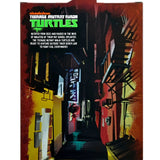 NECA Teenage Mutant Ninja Turtles Ultimate Raphael (2012 Cartoon)