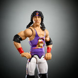 WWE Survivor Series Elite SET OF 4 (Nick Aldis BAF)