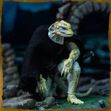 Savage Crucible Shield of D'Zaera