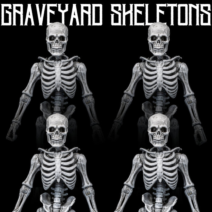 Mythic Legions Graveyard Skeletons 4-Pack