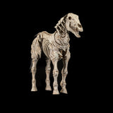 Mythic Legions Reinforcements 3 Skeleton Steed Legion Builder