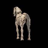 Mythic Legions Reinforcements 3 Skeleton Steed Legion Builder