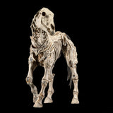 Mythic Legions Reinforcements 3 Skeleton Steed Legion Builder