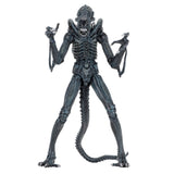 NECA Ultimate Aliens Warrior (Blue)