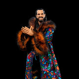 WWE Ultimate Edition Greatest Hits Seth Rollins