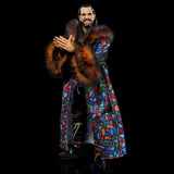 WWE Ultimate Edition Greatest Hits Seth Rollins