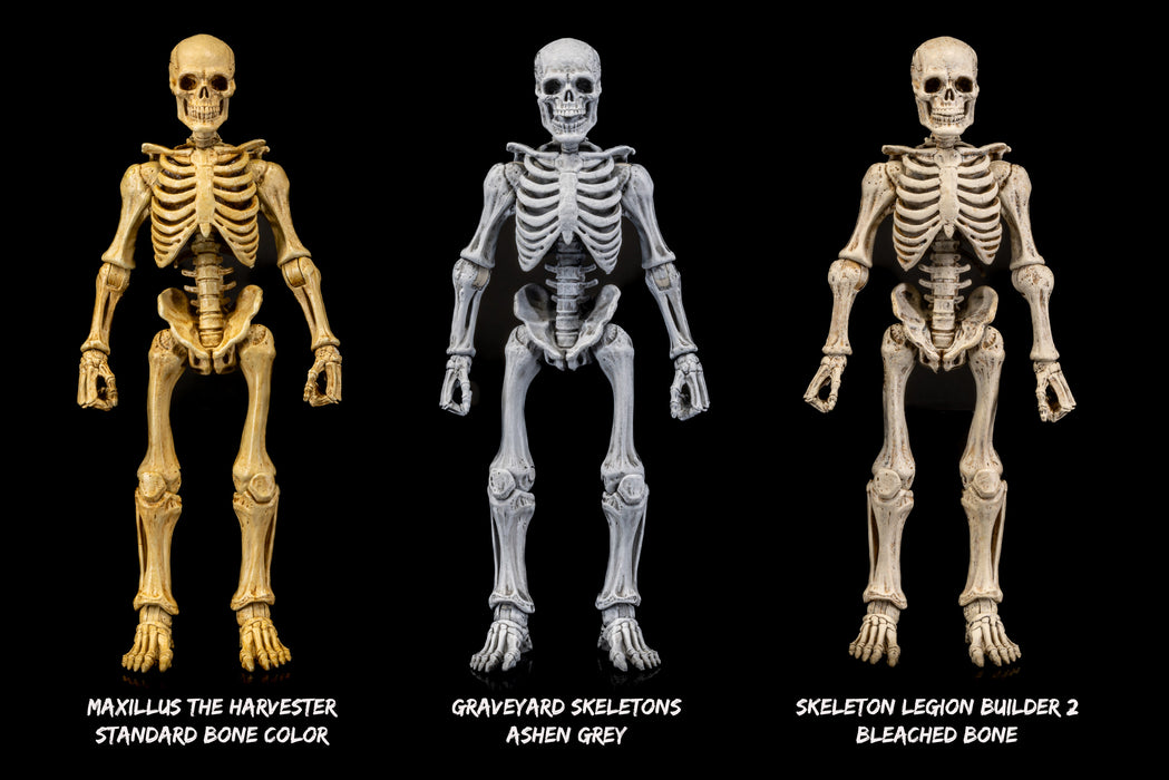 Mythic Legions Graveyard Skeletons 4-Pack