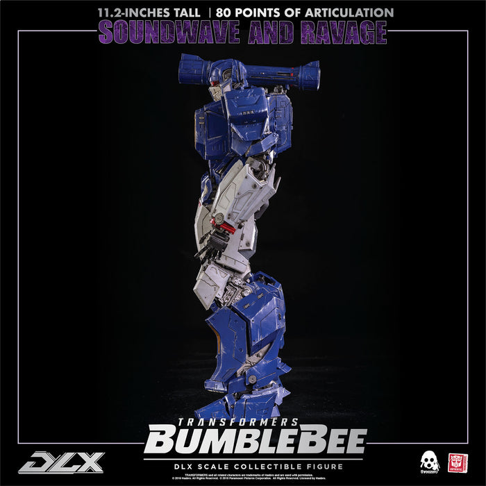 Transformers: Bumblebee DLX Scale Collectible Series Soundwave and Ravage