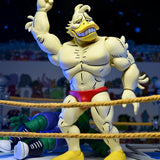 NECA Teenage Mutant Ninja Turtles Stump Wrestling Deluxe Ace Duck (Archie Comics)