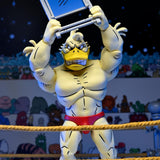 NECA Teenage Mutant Ninja Turtles Stump Wrestling Deluxe Ace Duck (Archie Comics)