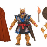 NECA Teenage Mutant Ninja Turtles Chote (Mirage Comics)