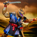 NECA Teenage Mutant Ninja Turtles Chote (Mirage Comics)